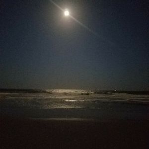 Meet your Posher, Erron